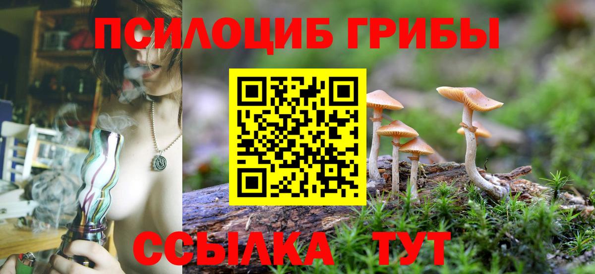 Псилоцибиновые грибы Magic Shrooms Ростов-на-Дону