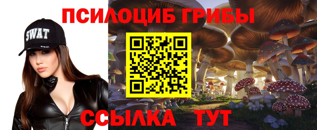 Ростов-на-Дону  Псилоцибиновые грибы Cubensis  как найти наркотики  Вход с VPN 